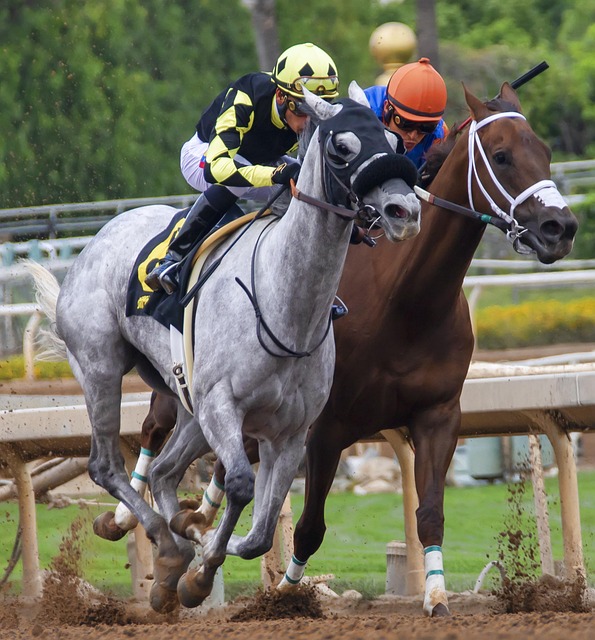 我们也见过 我们也见过