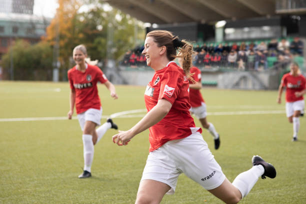 并提供专业 并提供专业